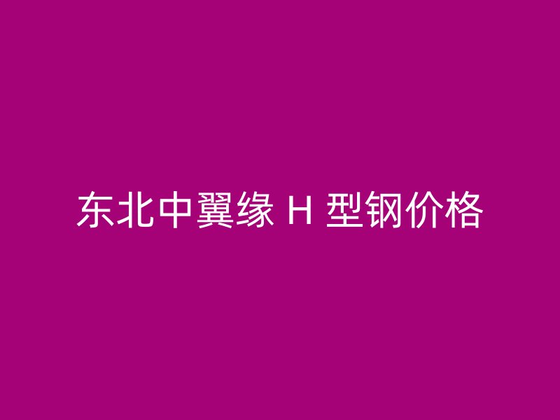 東北中翼緣 H 型鋼價格