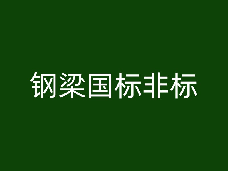 鋼梁國標非標