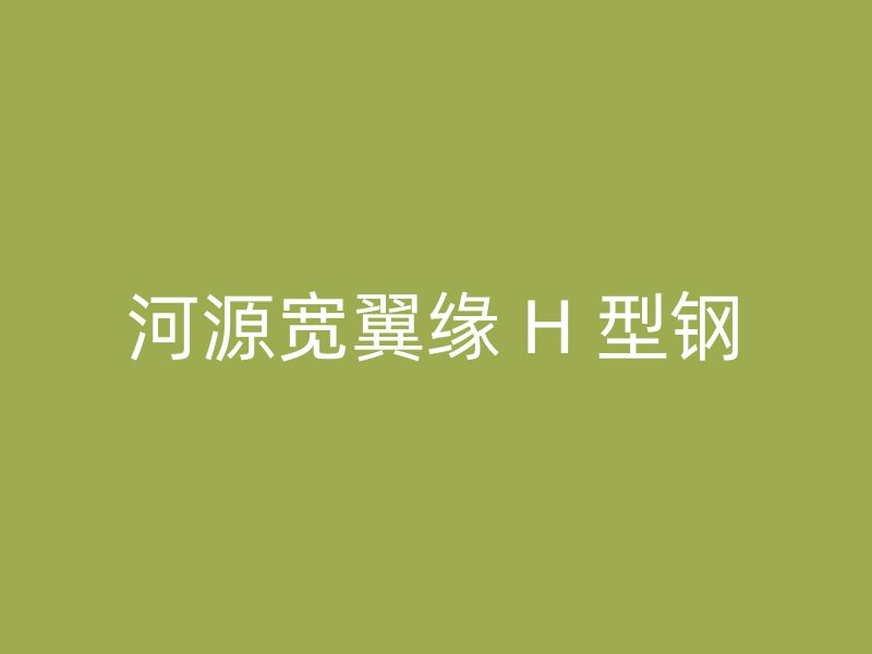 河源寬翼緣 H 型鋼