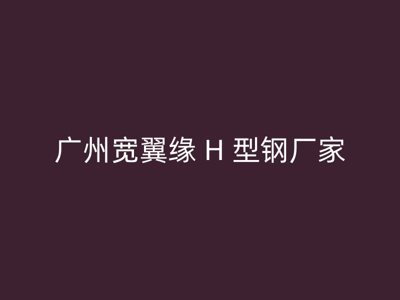 廣州寬翼緣 H 型鋼廠家