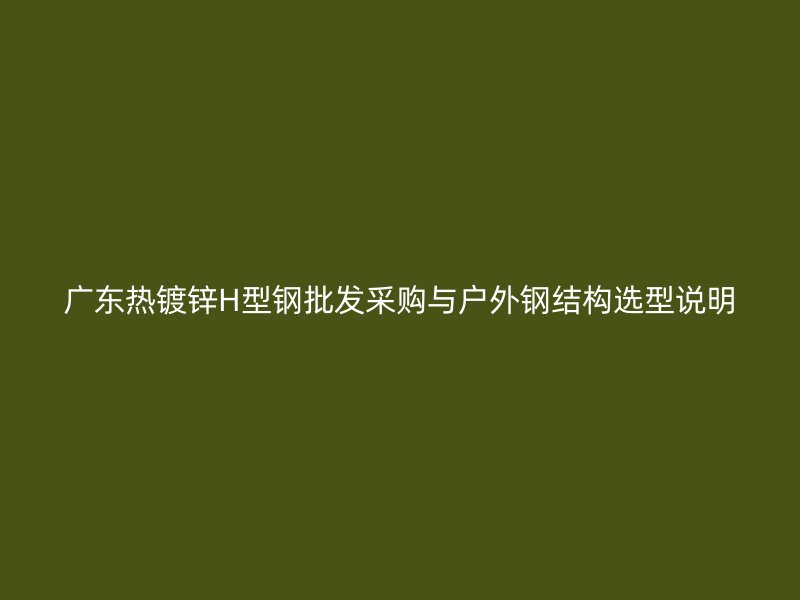 廣東熱鍍鋅H型鋼批發(fā)采購(gòu)與戶外鋼結(jié)構(gòu)選型說(shuō)明