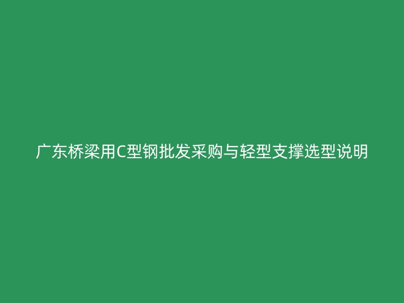 廣東橋梁用C型鋼批發采購與輕型支撐選型說明
