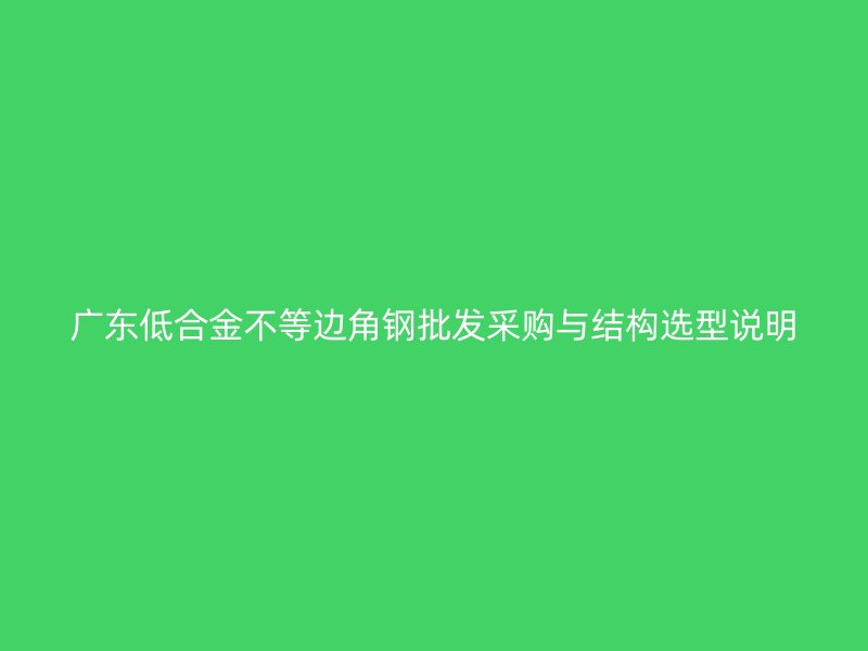 廣東低合金不等邊角鋼批發采購與結構選型說明