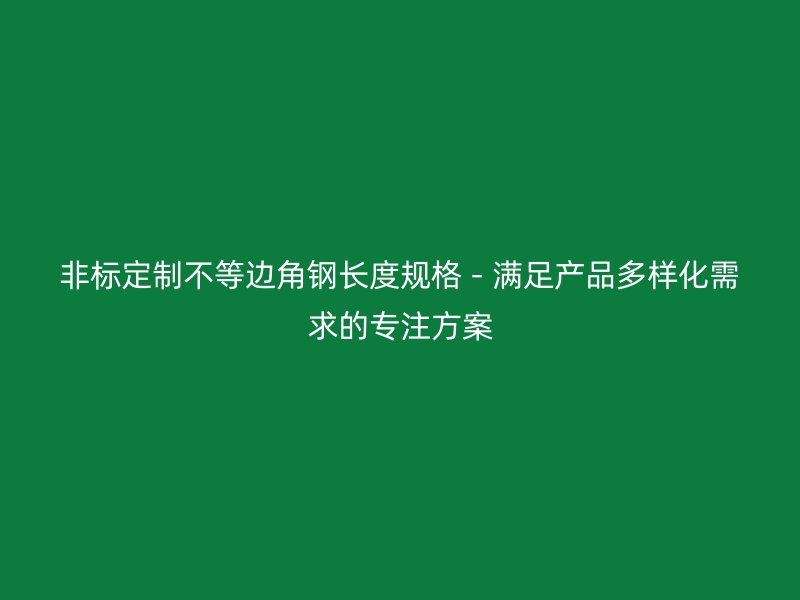 非標定制不等邊角鋼長度規格 - 滿足產品多樣化需求的專注方案