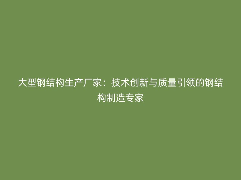 大型鋼結構生產廠家：技術創新與質量引領的鋼結構制造專家