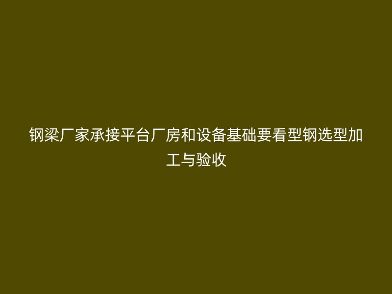 鋼梁廠家承接平臺廠房和設備基礎要看型鋼選型加工與驗收